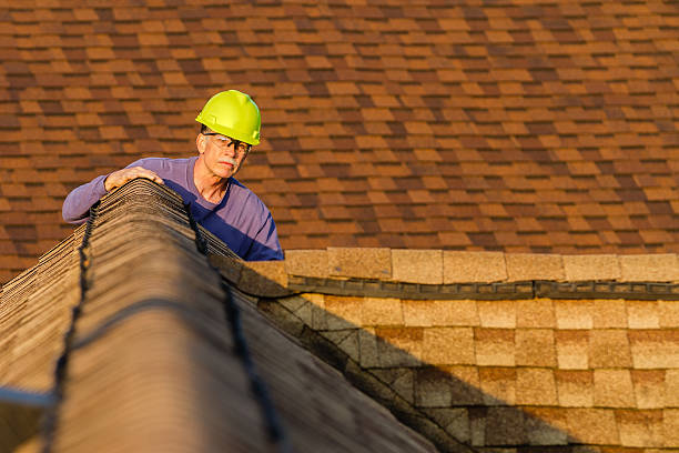 Best Metal Roofing Contractor  in Andrews Af, MD